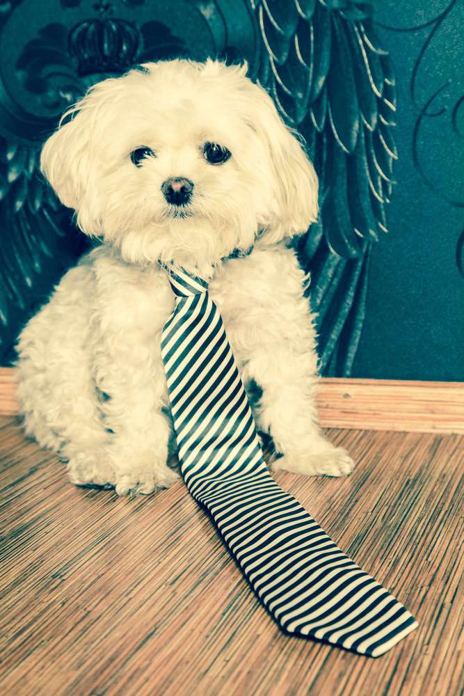 PicturePeople Fotostudios Duisburg (PicturePeople Fotostudios Duisburg)