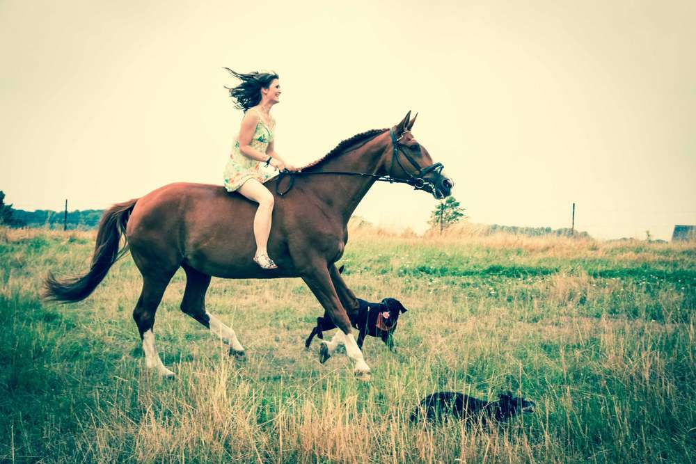 PicturePeople Fotostudios Frankfurt