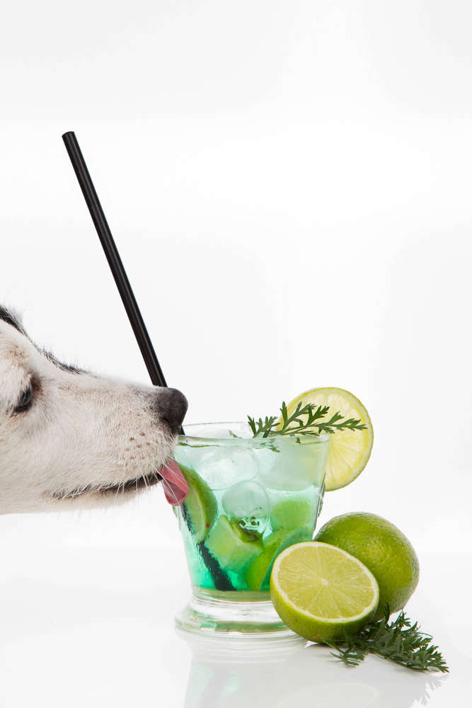 PicturePeople Fotostudios Mülheim