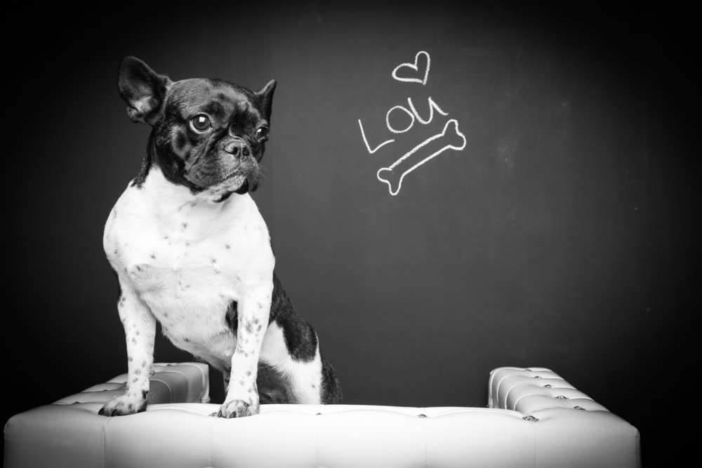 PicturePeople Fotostudios City Point (PicturePeople Fotostudios City Point)