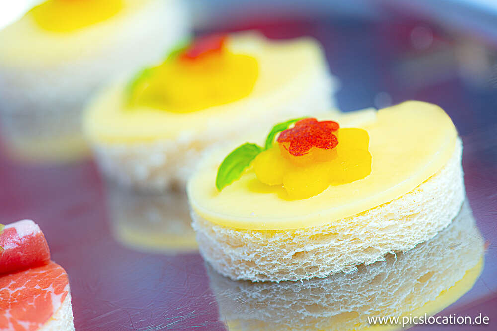 Picslocation-wir fotografieren Ulm und die Region