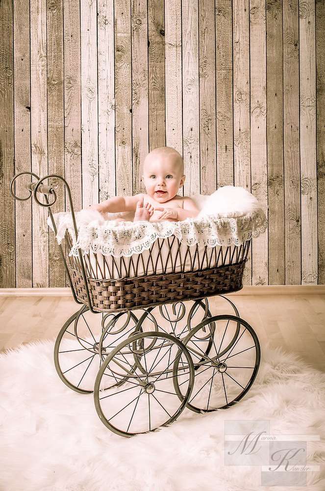 Cityfotostudio Kanzler (Cityfotostudio Kanzler)