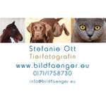 bildfaengerTierfotografie