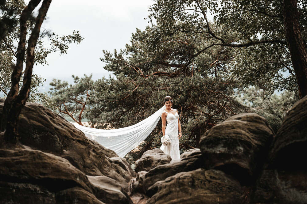 Afshin Schreer (Afshin Schreer)