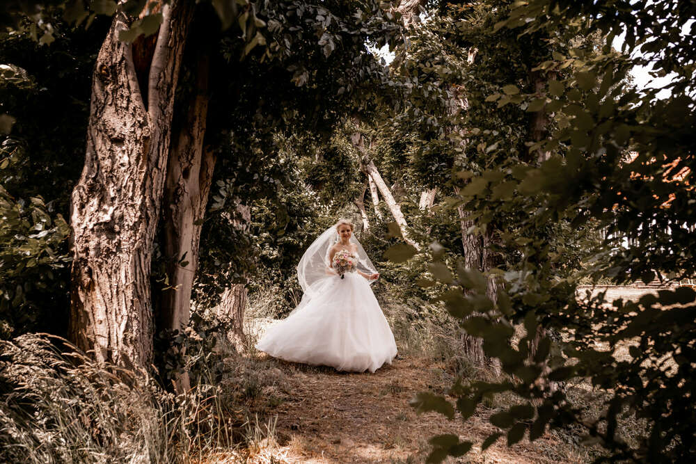 Afshin Schreer (Afshin Schreer)