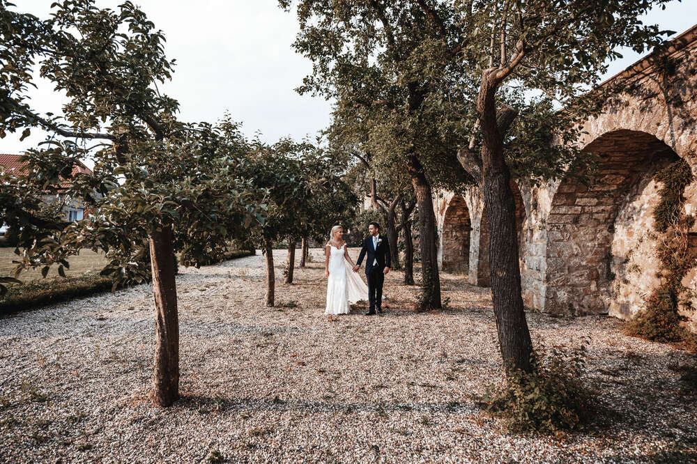 Afshin Schreer (Afshin Schreer)