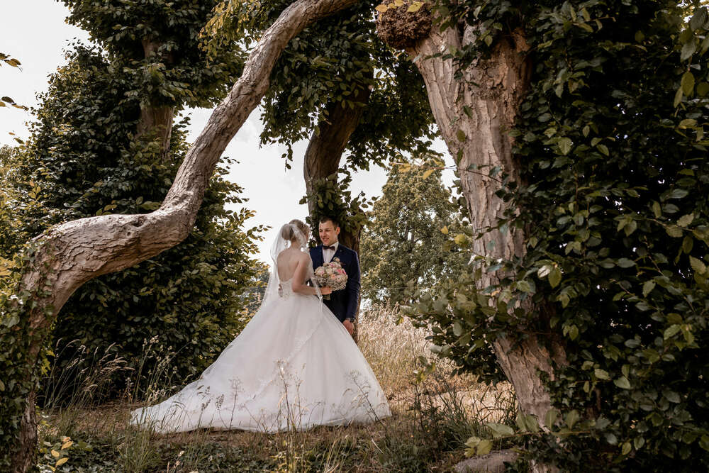 Afshin Schreer (Afshin Schreer)