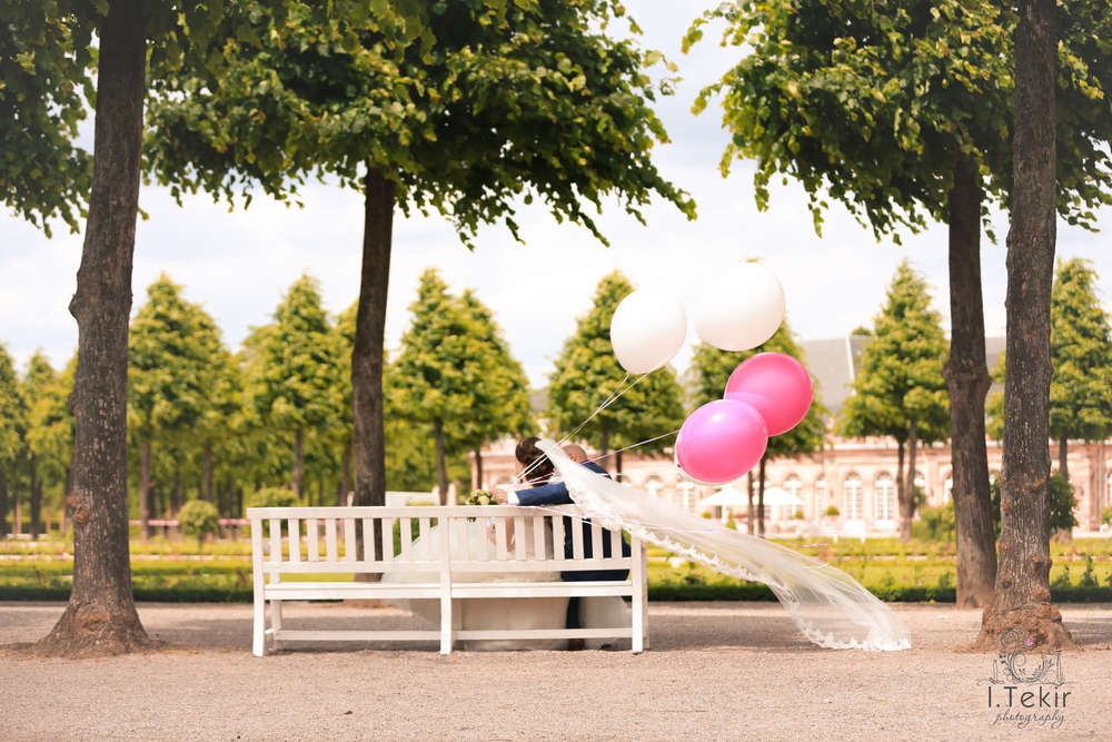 I. Tekir Photography