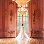 I. Tekir Photography