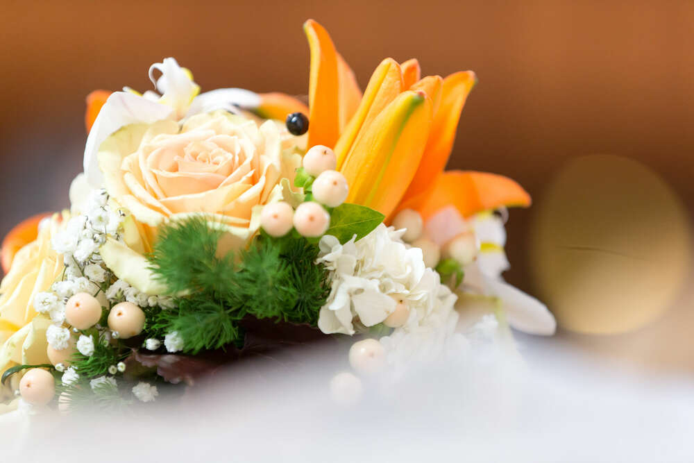 Atelier EL (Atelier EL)