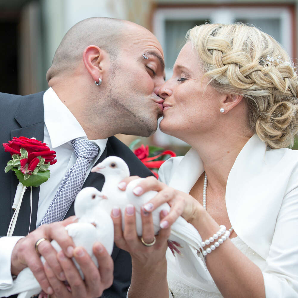 Atelier EL (Atelier EL)