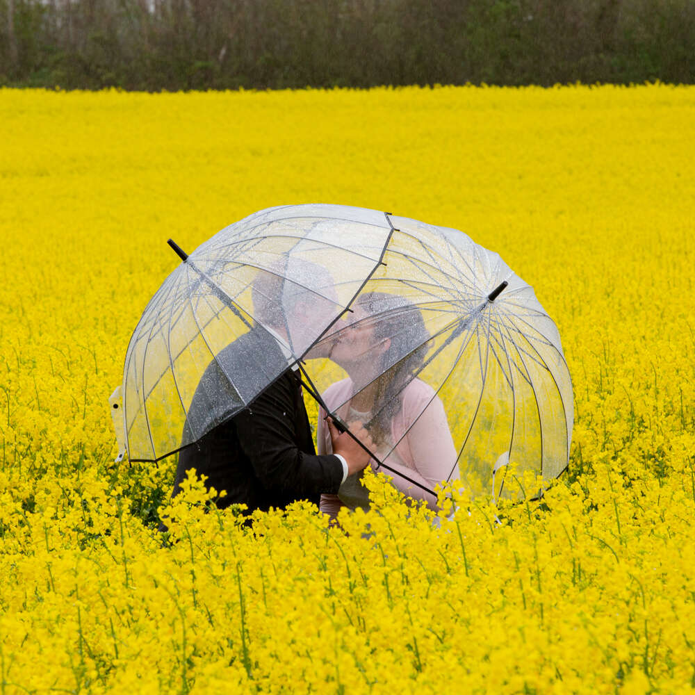 Fotostudio Lichtschmiede - Hochzeitsfotograf (Fotostudio Lichtschmiede - Hochzeitsfotograf)
