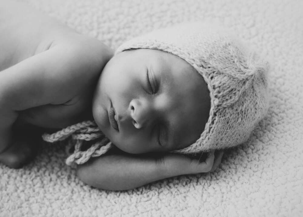 Photographie RosaRot (Photographie RosaRot)