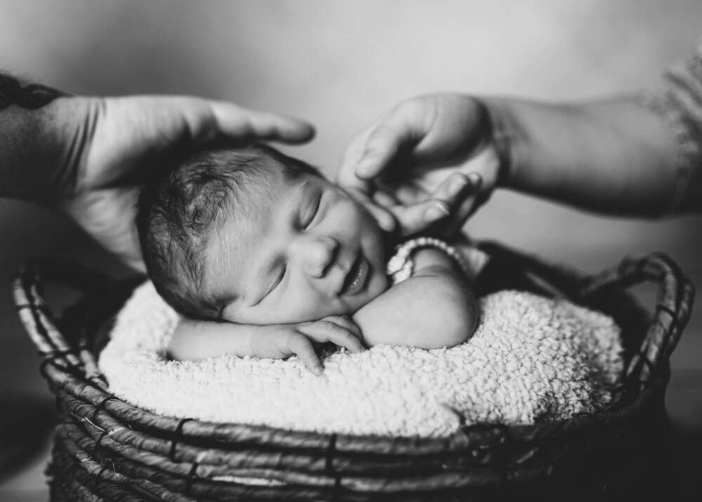 Photographie RosaRot (Photographie RosaRot)