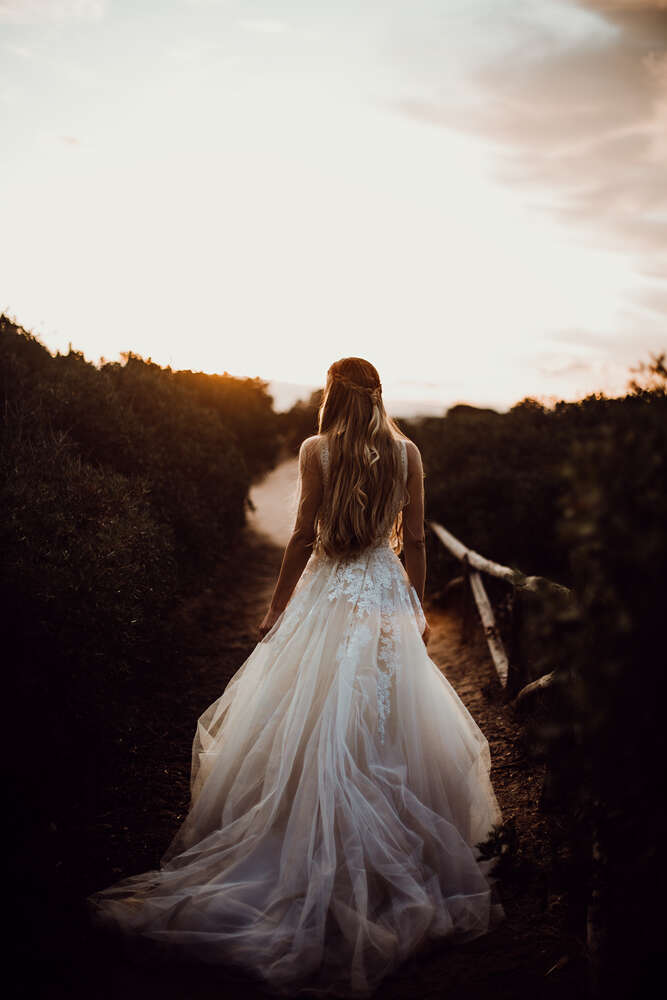 pollography.Team (pollography.Team)