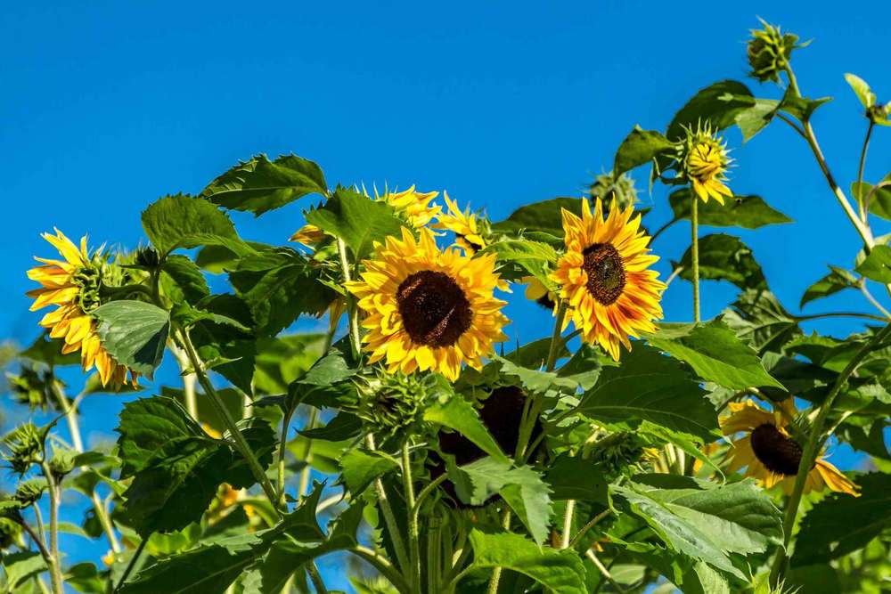 Bianca Bürger *Fotografie*