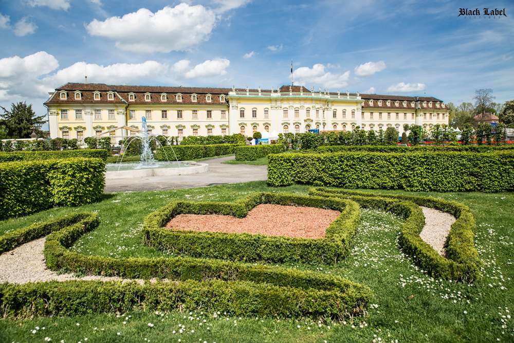 Black Label Pictures