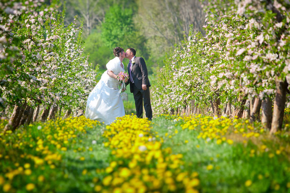 Foto Kreil (Foto Kreil)