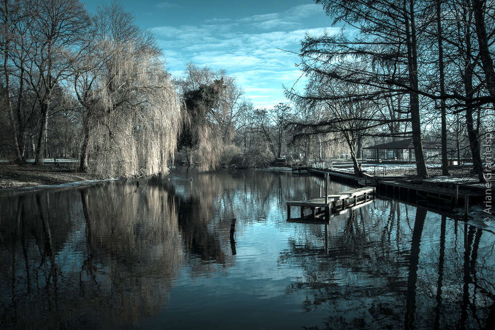 Ariane Gramelspacher