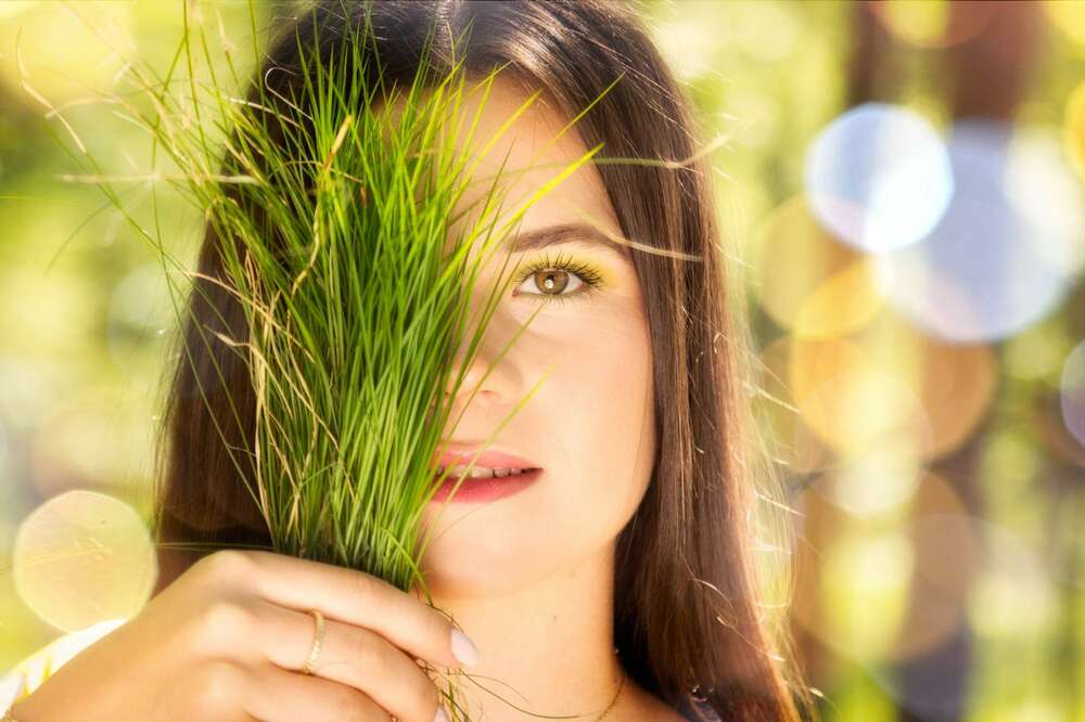 Fotostudio Hammerer (Fotostudio Hammerer)