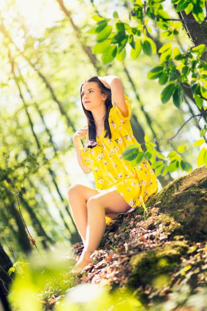 Fotostudio Hammerer (Fotostudio Hammerer)