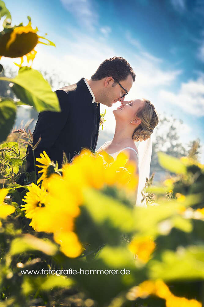 Fotostudio Hammerer (Fotostudio Hammerer)