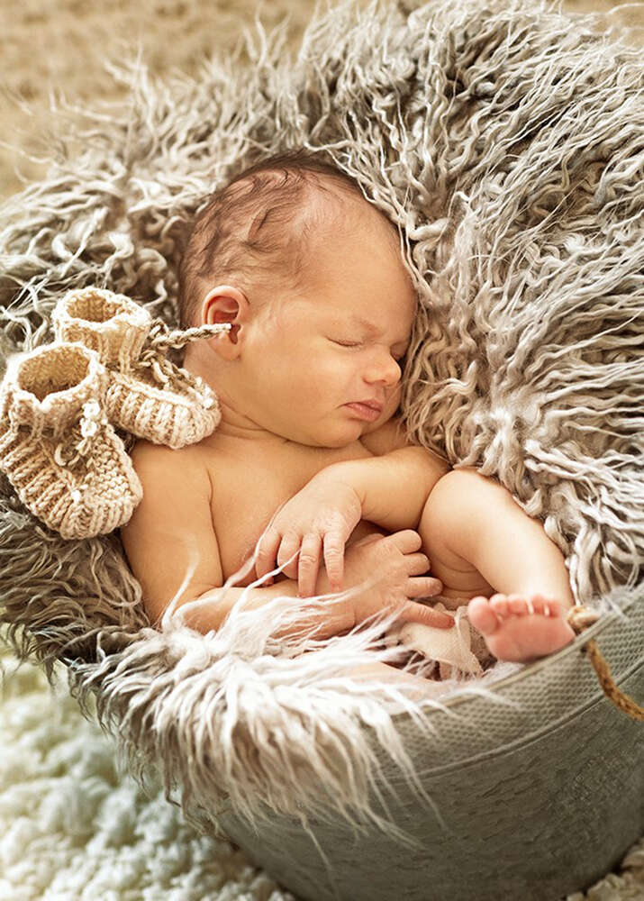 Fotostudio Hammerer (Fotostudio Hammerer)