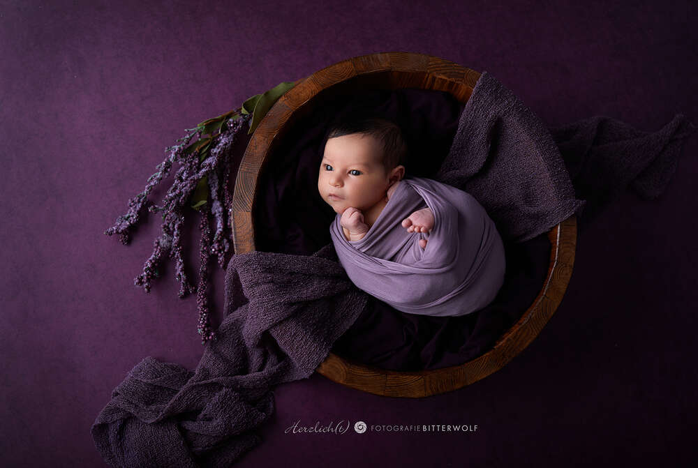 Lilaliebe (Herzlich(t) Fotografie)