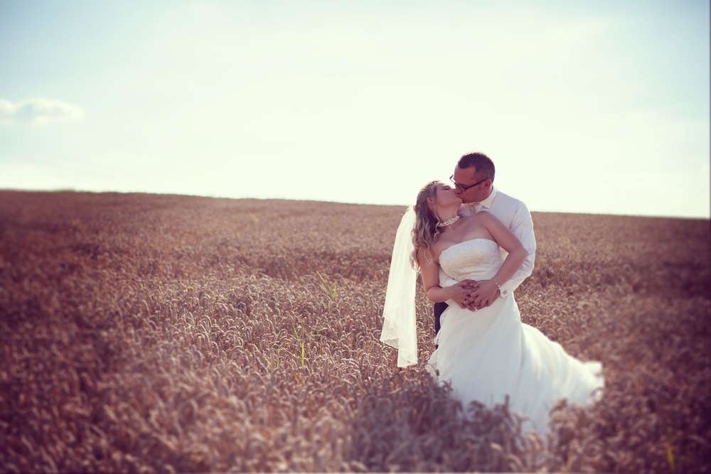 Feld (LIEBLINGSBILDER-BlombergFotodesign)