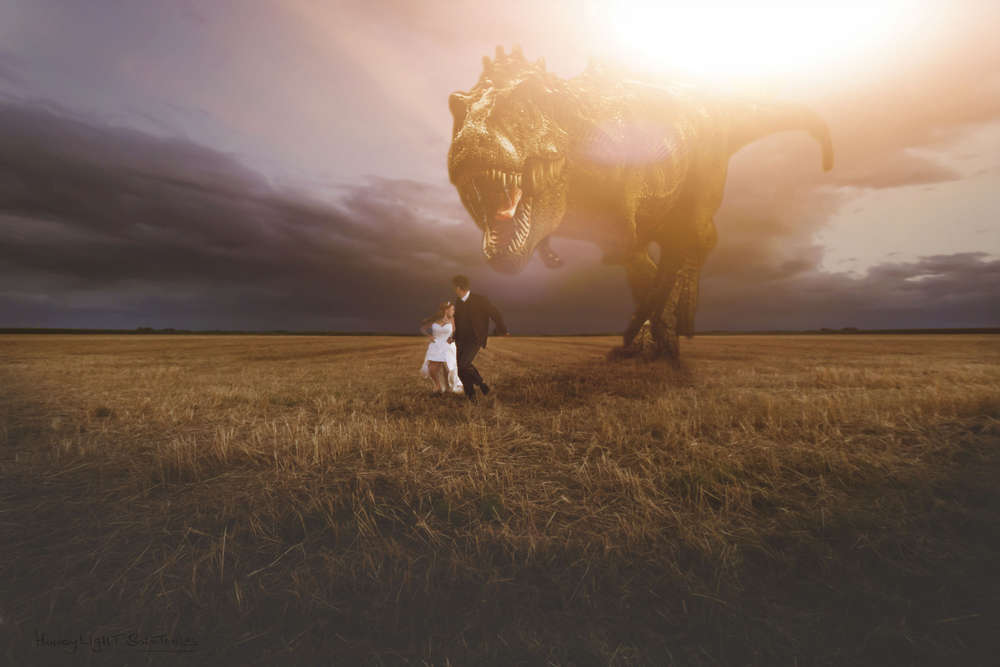 Die Flucht (HoneyLightSolutions)