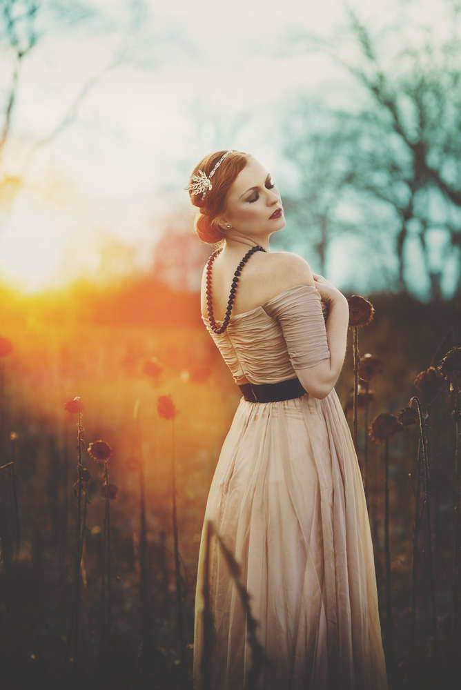 Beauty in fields (HoneyLightSolutions)