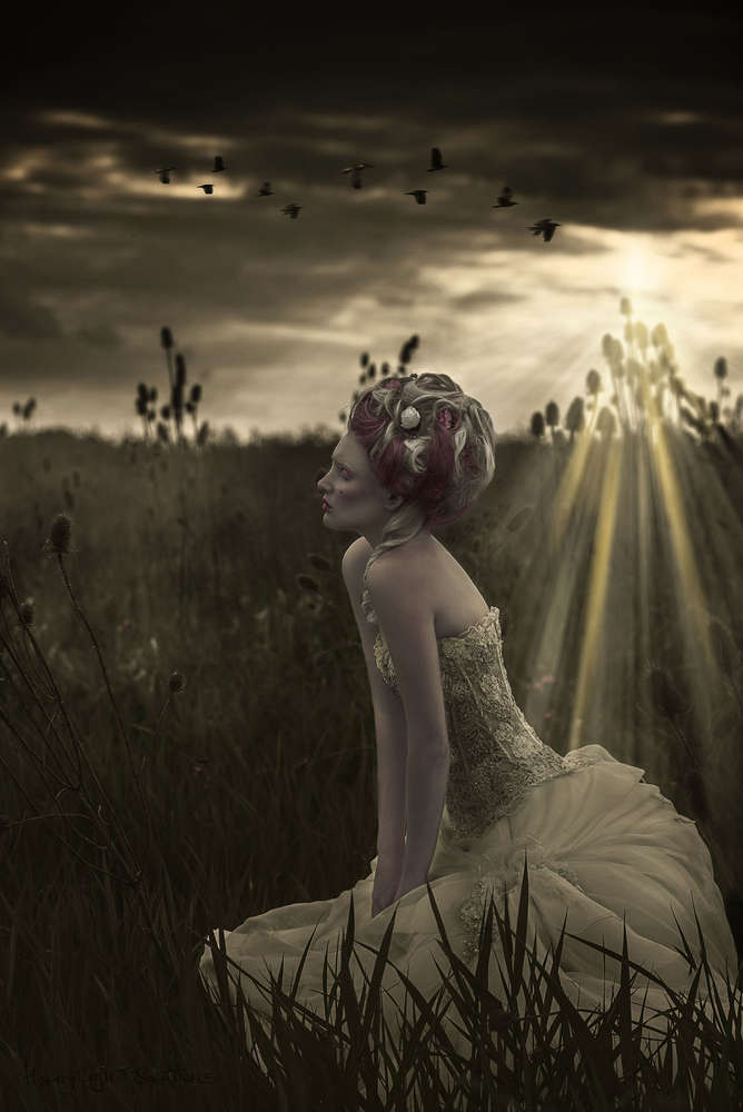 Marie-Antoinette Inspired (HoneyLightSolutions)