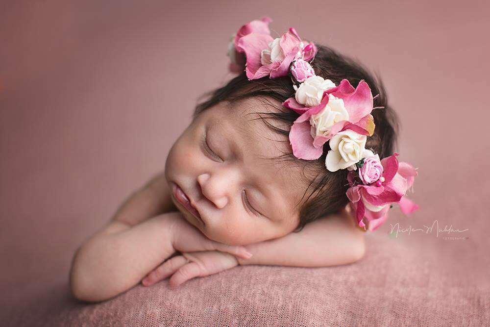 Nicole Mühlau Fotografie