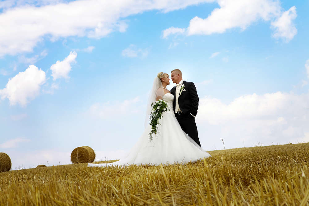 Feld bei Herbigshagen (PHOTO@STYLE)