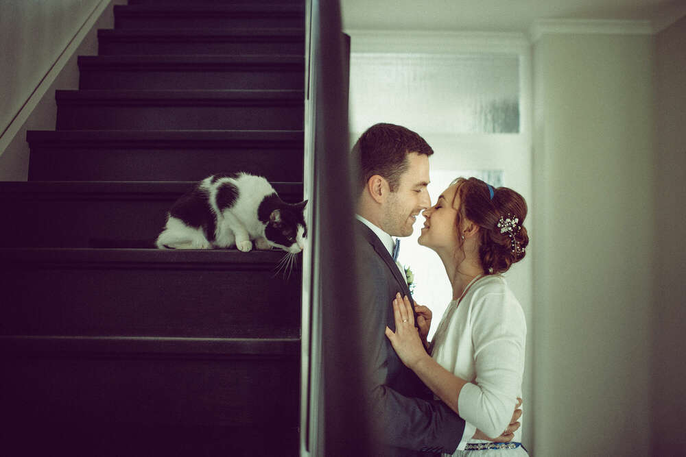 love & cat (dsfotos.de)