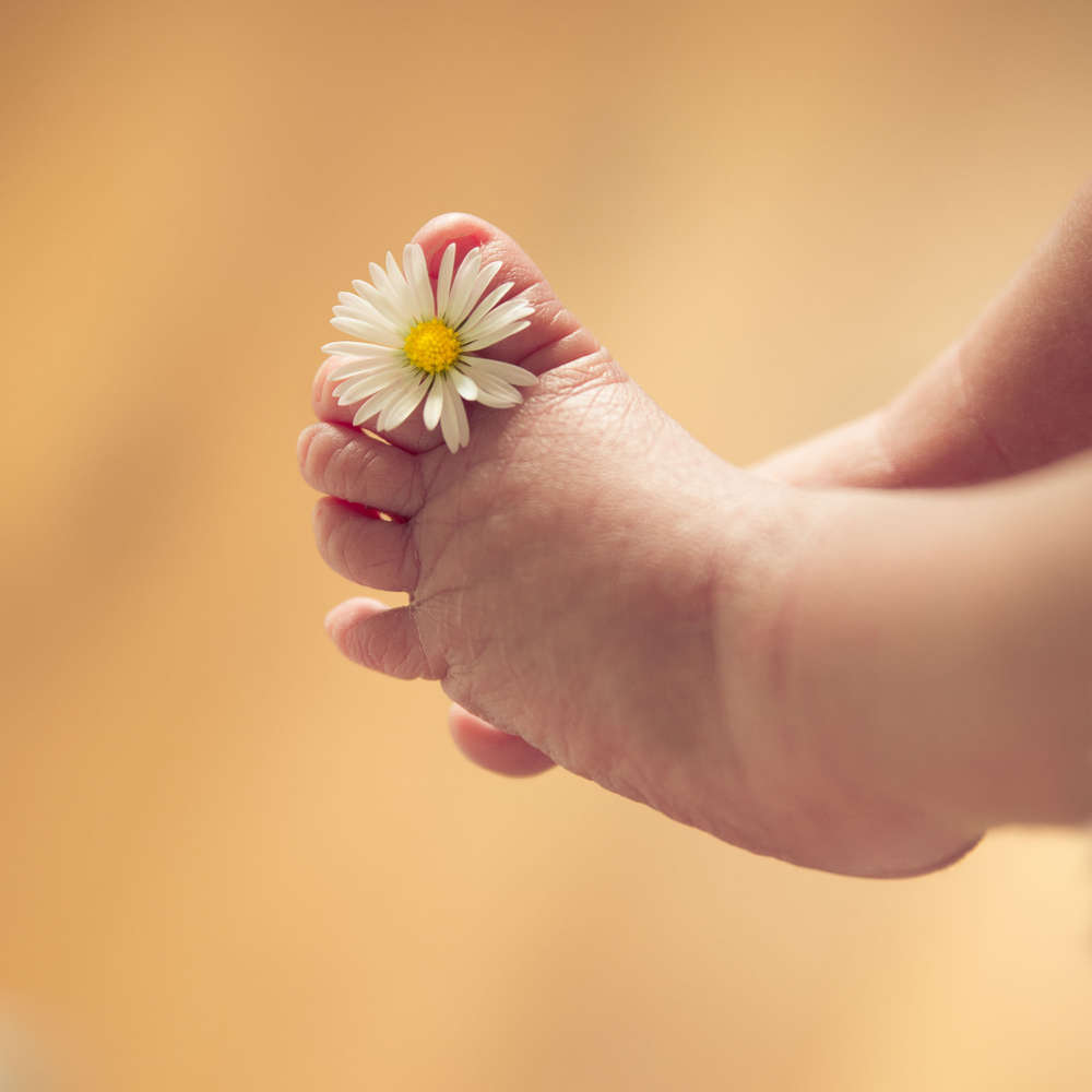 Fotowünsche (Fotowünsche)