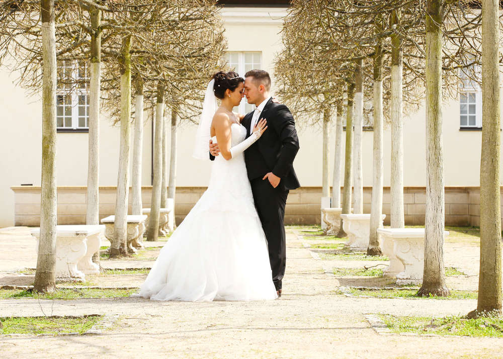 FOTOstudio IMAGE (FOTOstudio IMAGE)