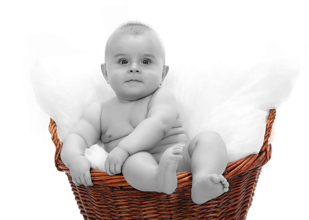 FOTOstudio IMAGE (FOTOstudio IMAGE)