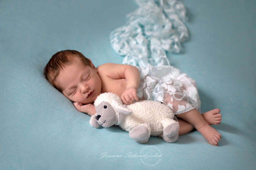 Fote-a Joanna Schendziolek (Fote-a Joanna Schendziolek)