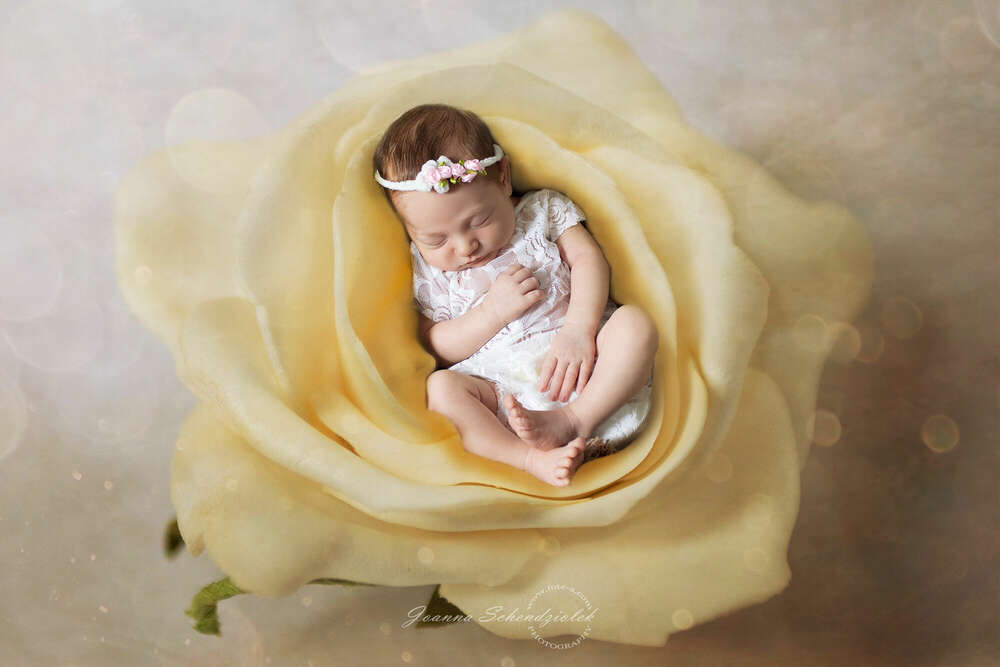 Fote-a Joanna Schendziolek (Fote-a Joanna Schendziolek)