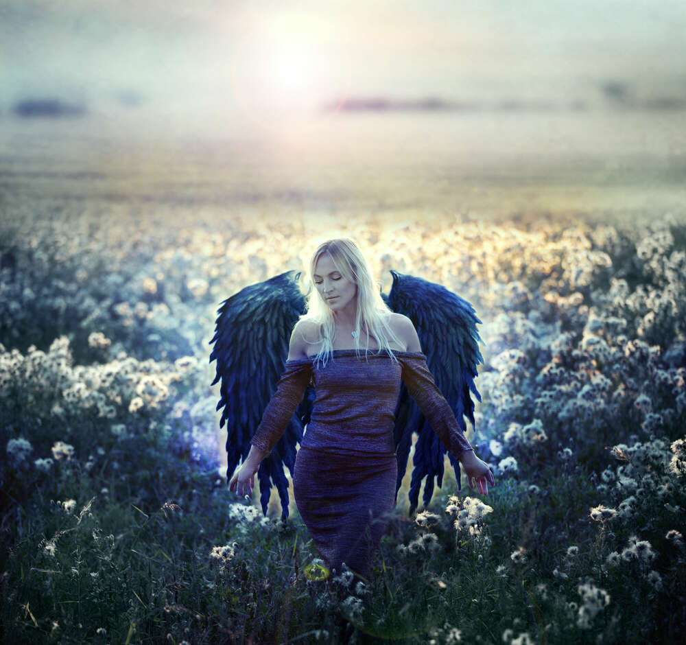 Fote-a Joanna Schendziolek (Fote-a Joanna Schendziolek)