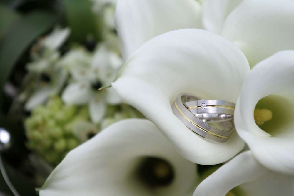 Augenblicke, das mobile Fotoatelier