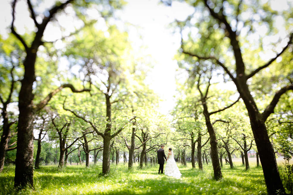 HD Fotografie Hochzeitsfotograf