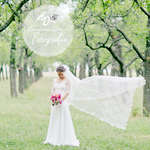 HD Fotografie Hochzeitsfotograf