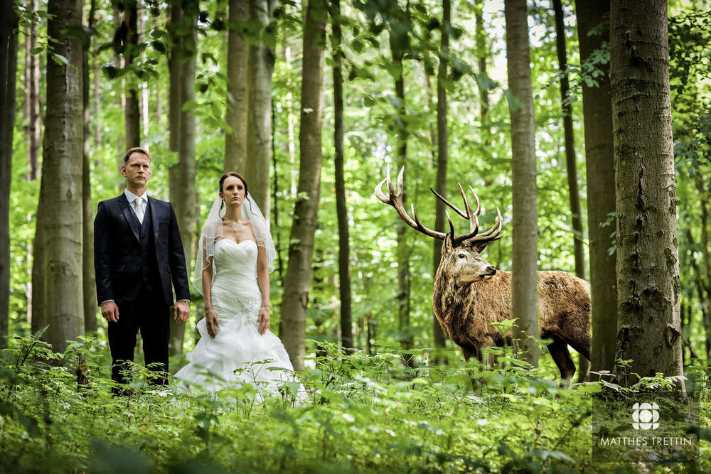 Matthes Trettin - fine in art