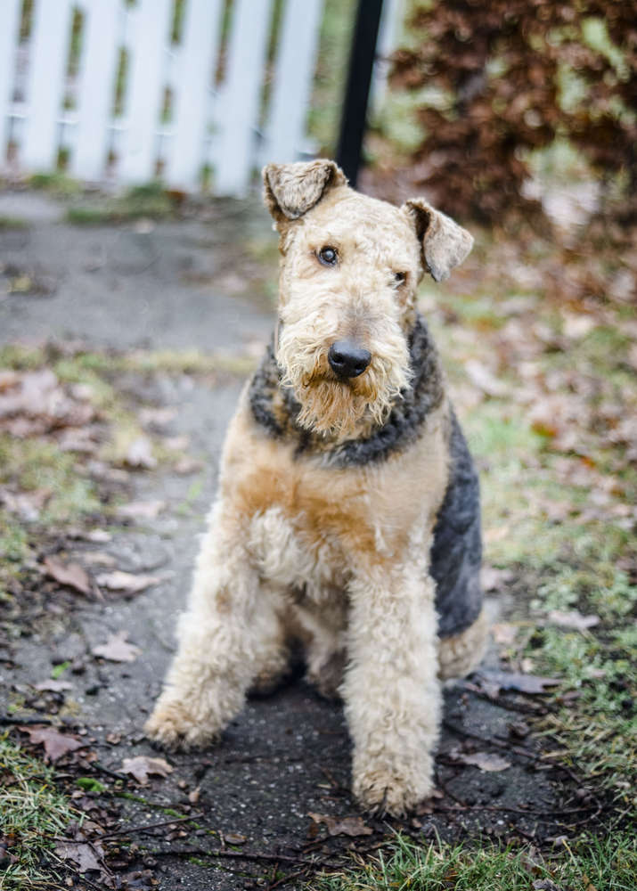 1. (Fotostudio AUFDERHEIDE UG)