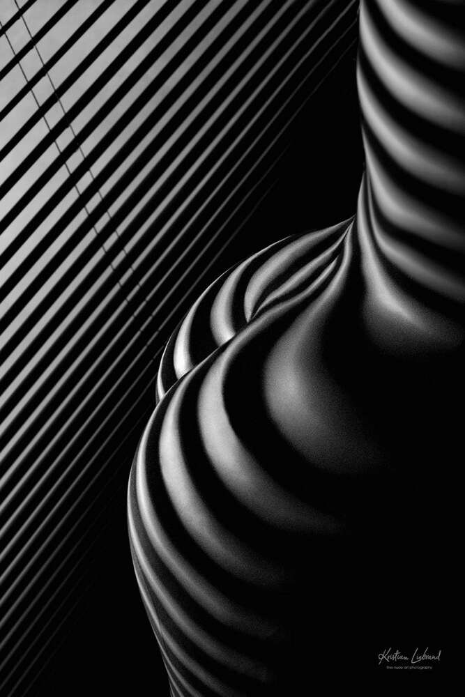 Jalousie - Akt / Boudoir am Fenster (Aktfotografie & Boudoir Kristian Liebrand - Fotost)