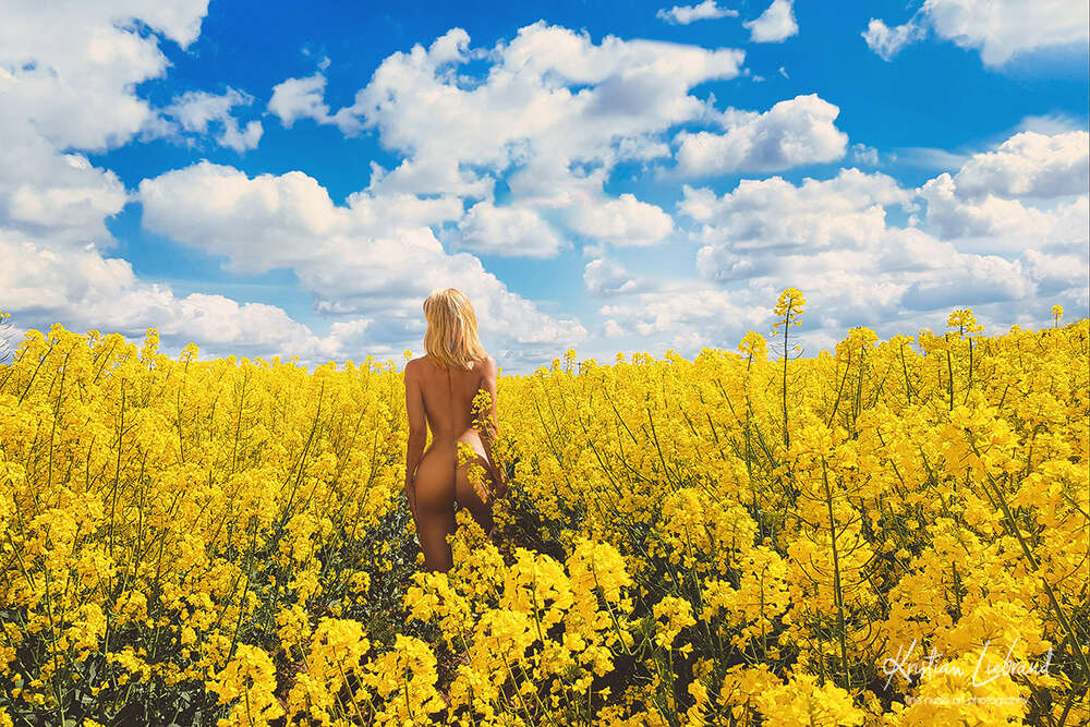 Aktfotos in der Natur / nude in nature (Rapsfeld) (Aktfotografie & Boudoir Kristian Liebrand - Fotost)
