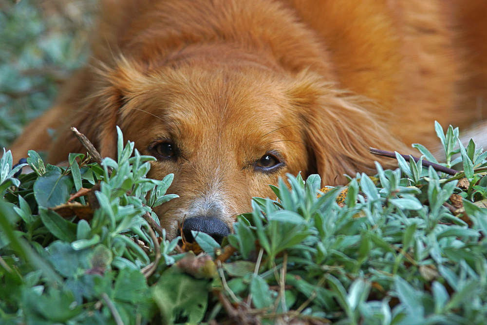 Im Blick (fotostudio4you)