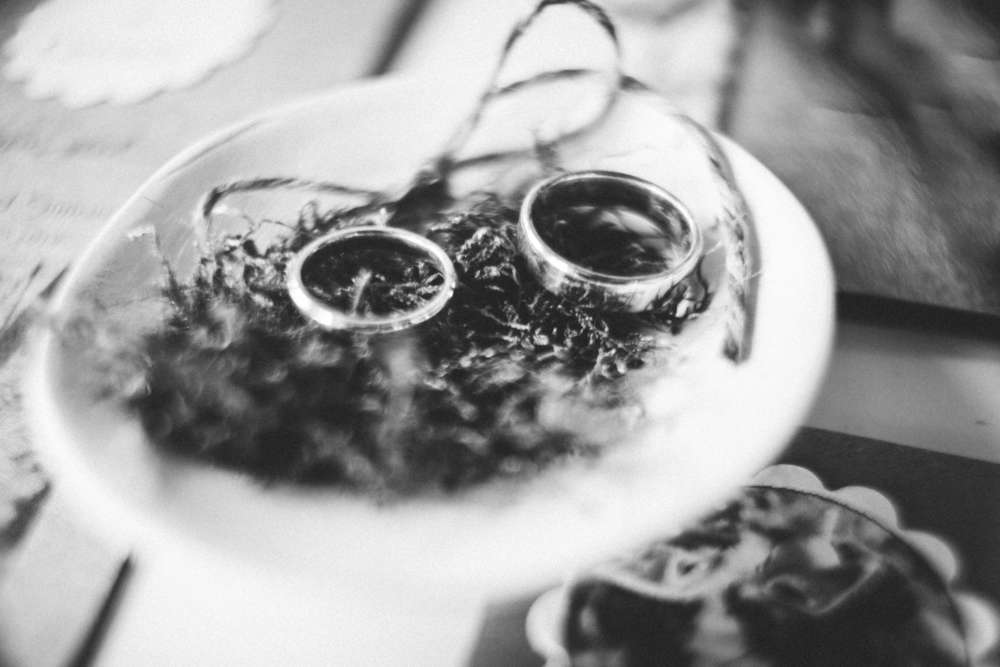 MISHA KOVALOV PHOTOGRAPHY (MISHA KOVALOV PHOTOGRAPHY)